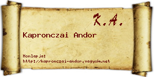 Kapronczai Andor névjegykártya